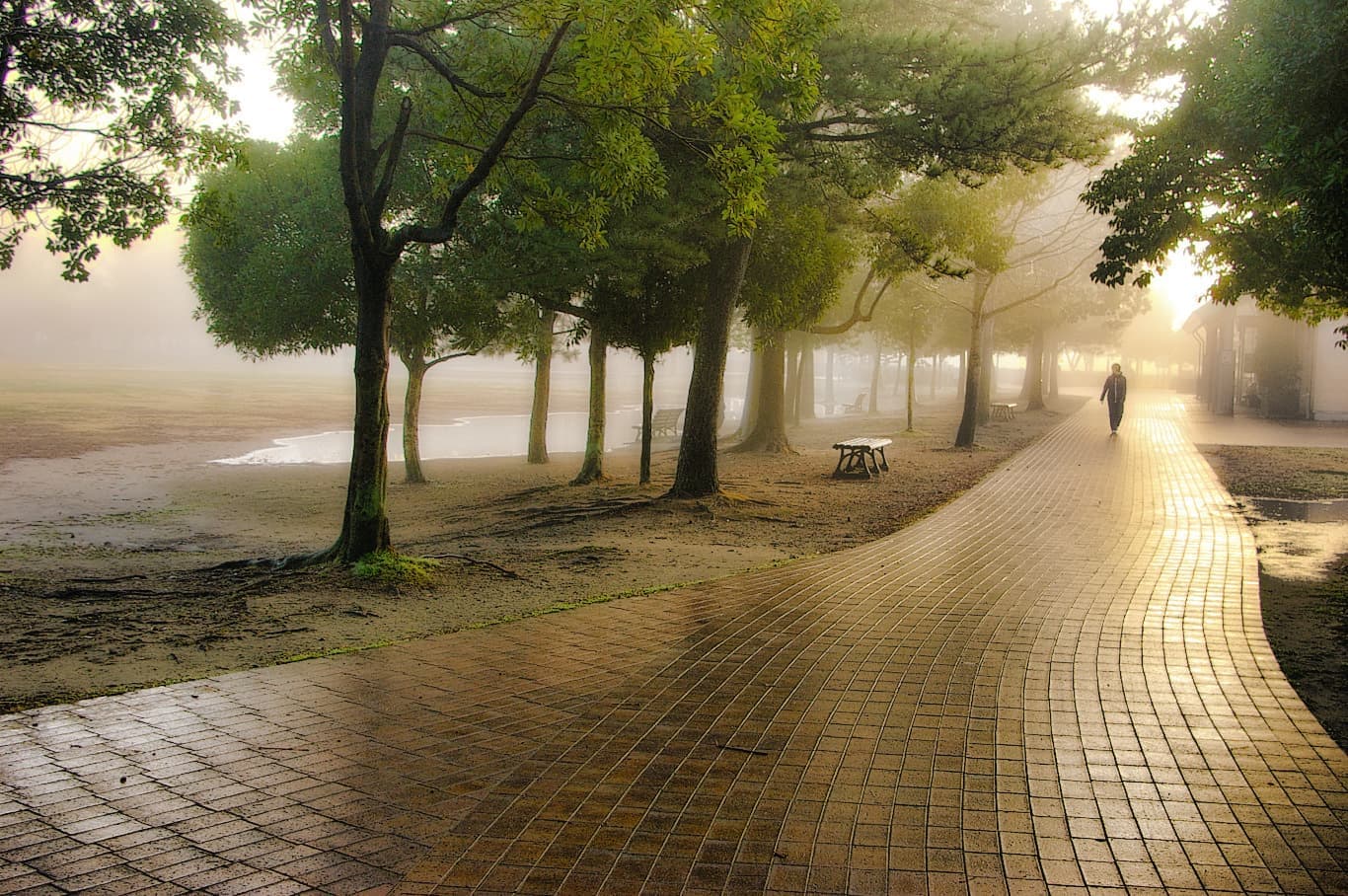 浜北　美薗中央公園